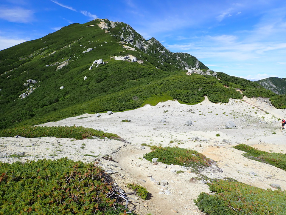 P8119235_mid.jpg