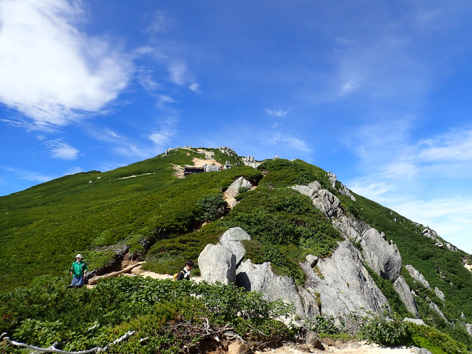 P8119243_mid.jpg