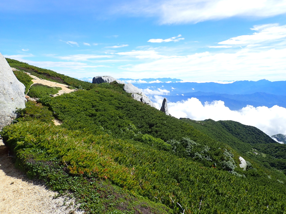P8119245_mid.jpg