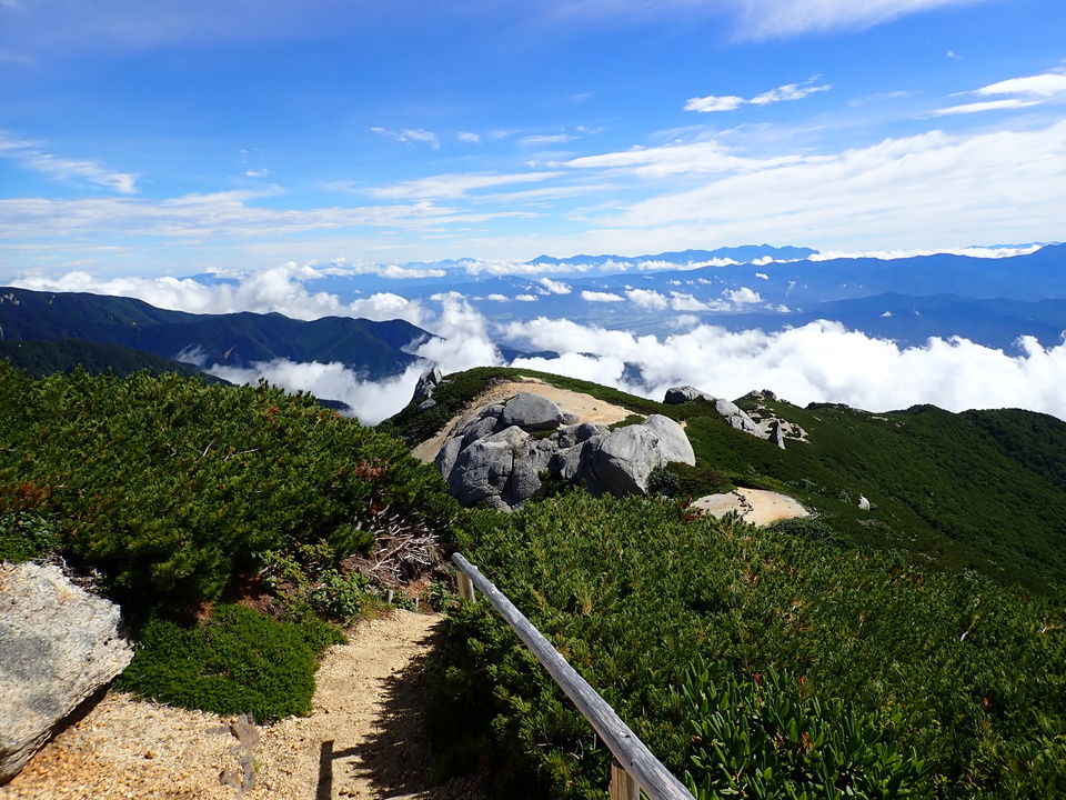 P8119248_mid.jpg
