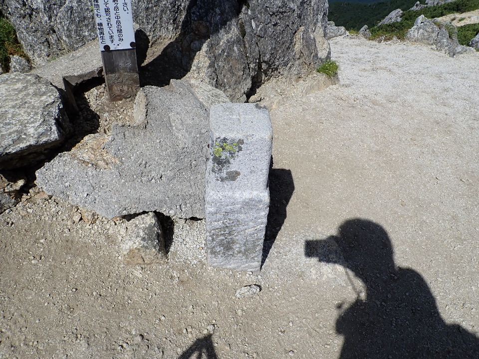 P8119271_mid.jpg
