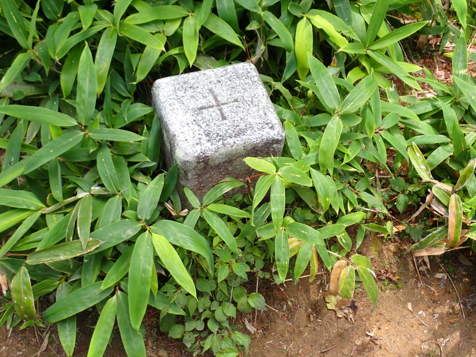 P8119318_mid.jpg