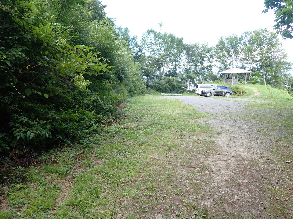 P8119327_mid.jpg