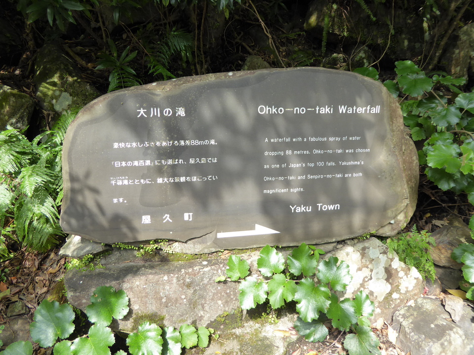 P1030235_mid.jpg
