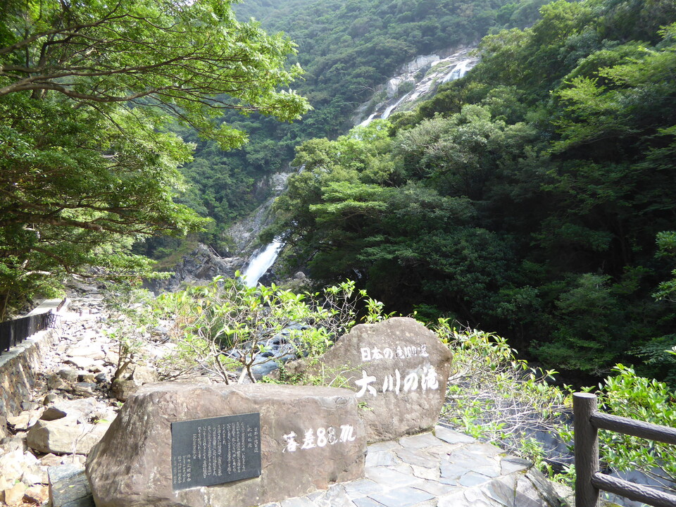 P1030237_mid.jpg