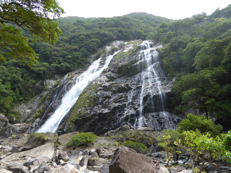 P1030238_mid.jpg
