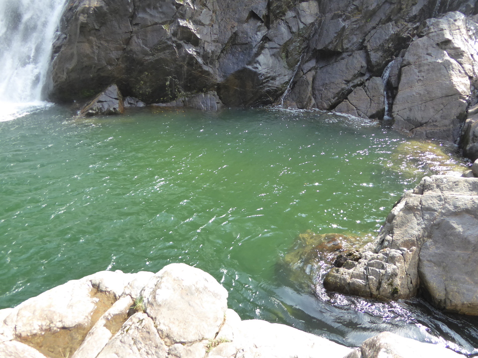 P1030254_mid.jpg