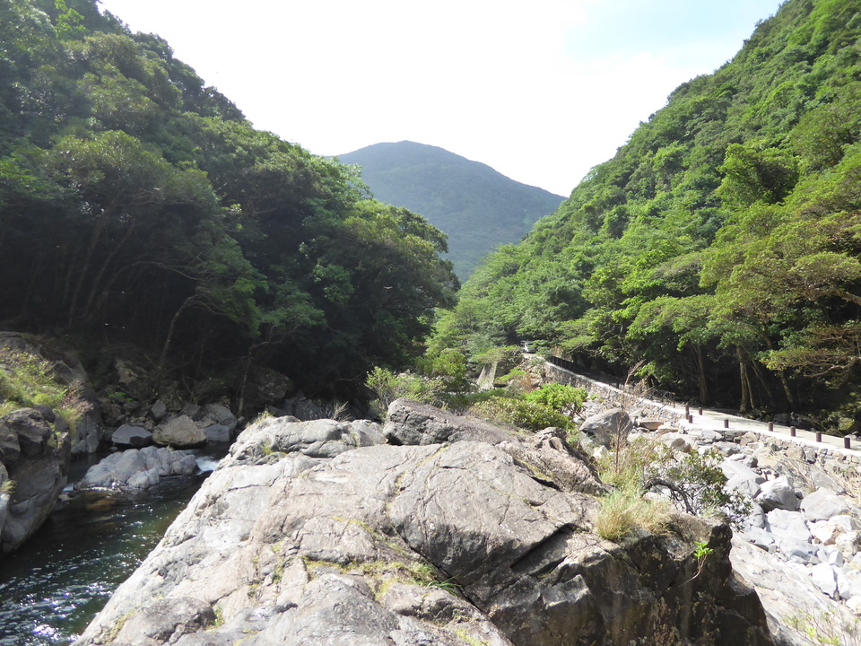 P1030261_mid.jpg