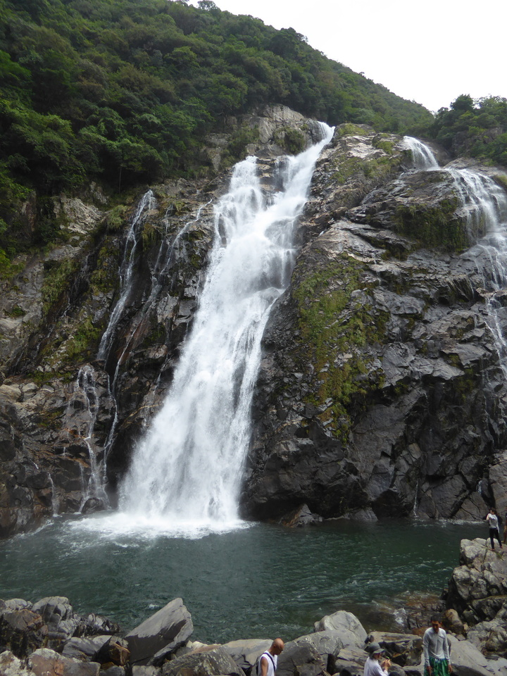 P1030285_mid.jpg