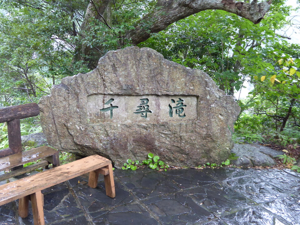 P1030328_mid.jpg