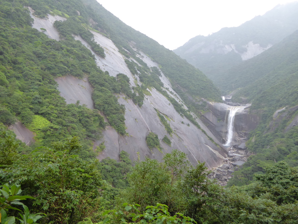 P1030334_mid.jpg