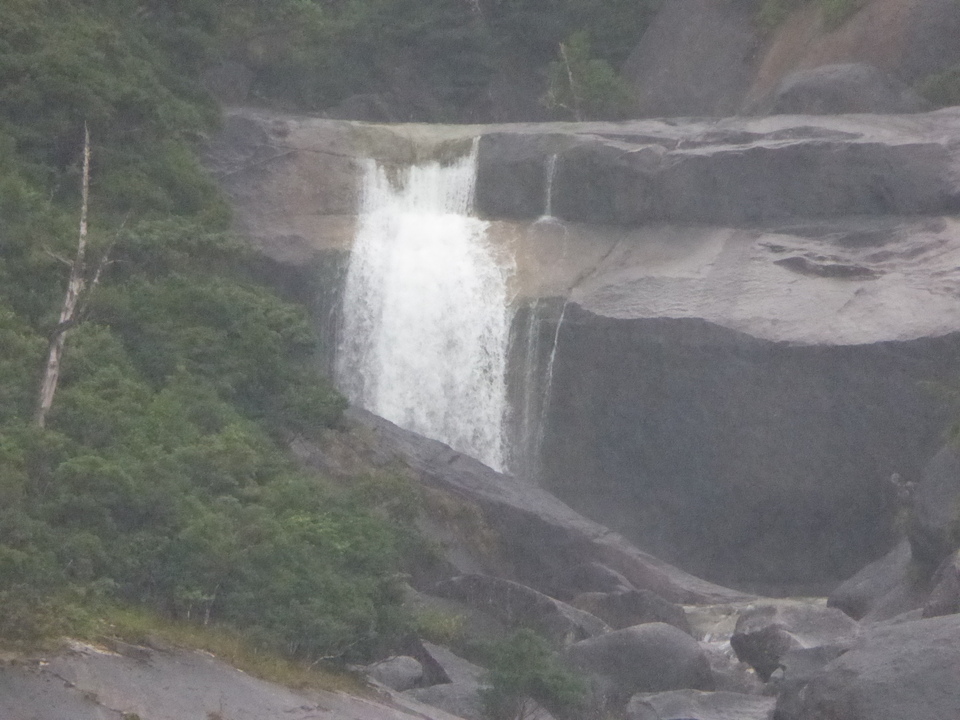 P1030336_mid.jpg
