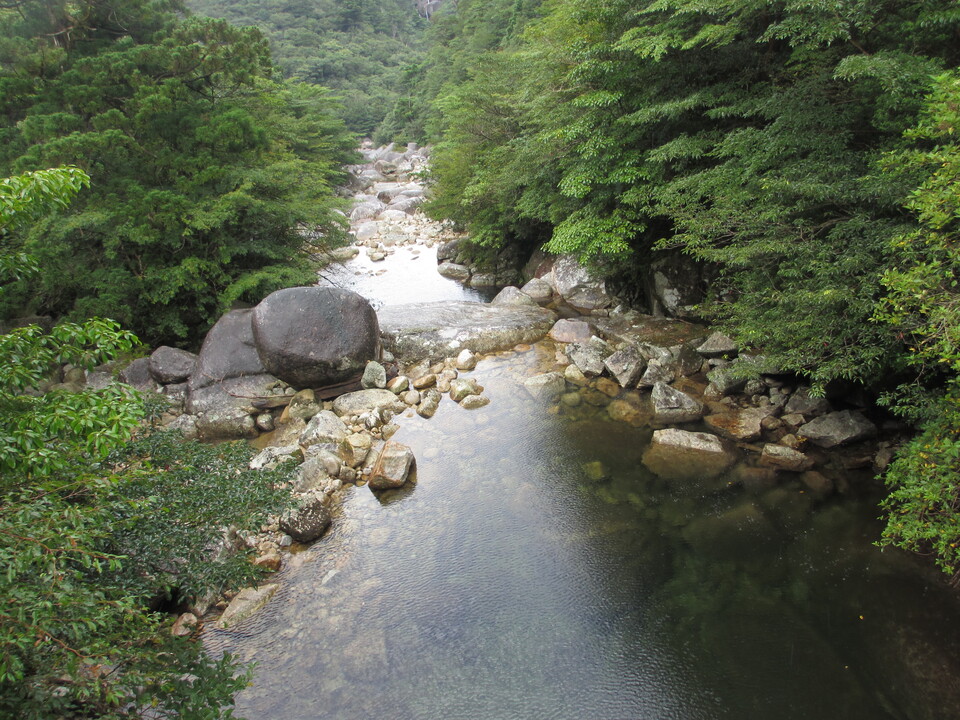IMG_4581_mid.jpg