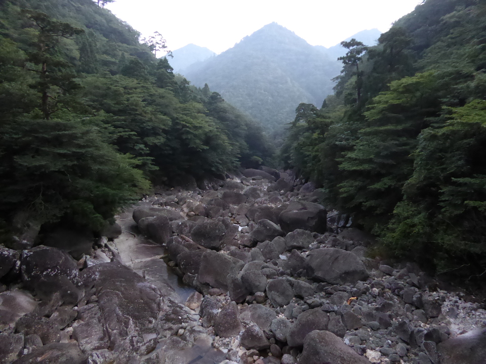 P1030012_mid.jpg