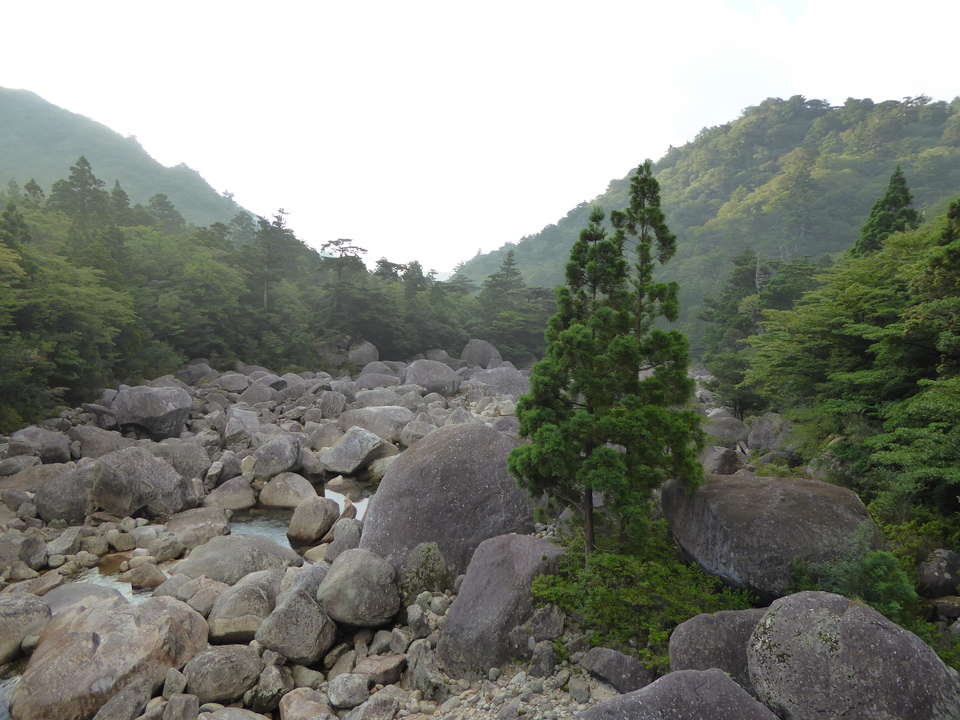 P1030021_mid.jpg