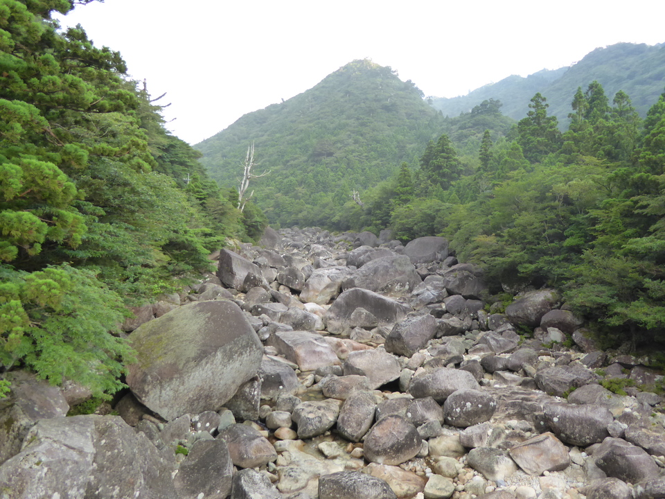 P1030022_mid.jpg
