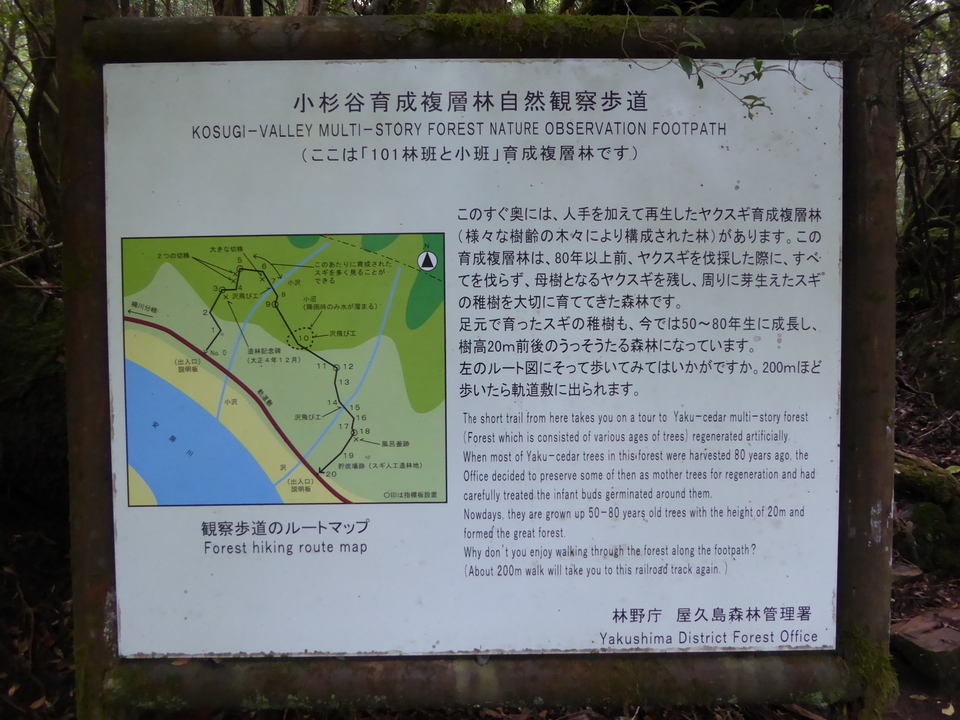 P1030029_mid.jpg