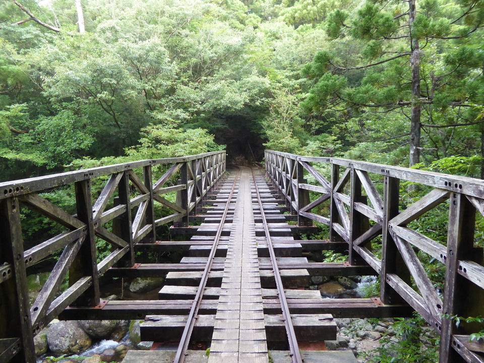 P1030051_mid.jpg