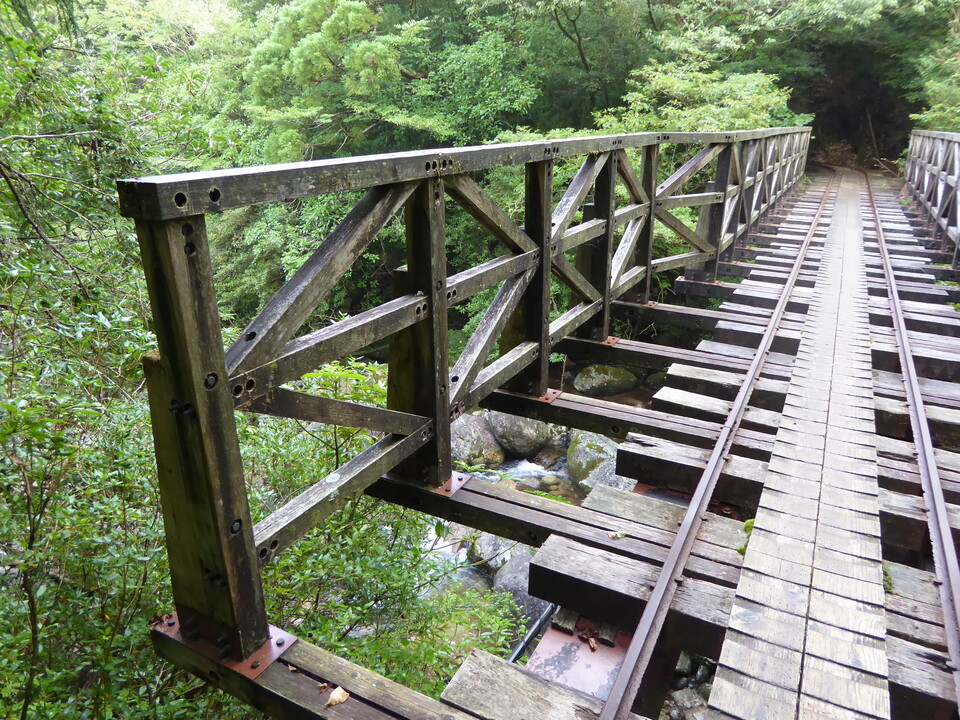 P1030052_mid.jpg