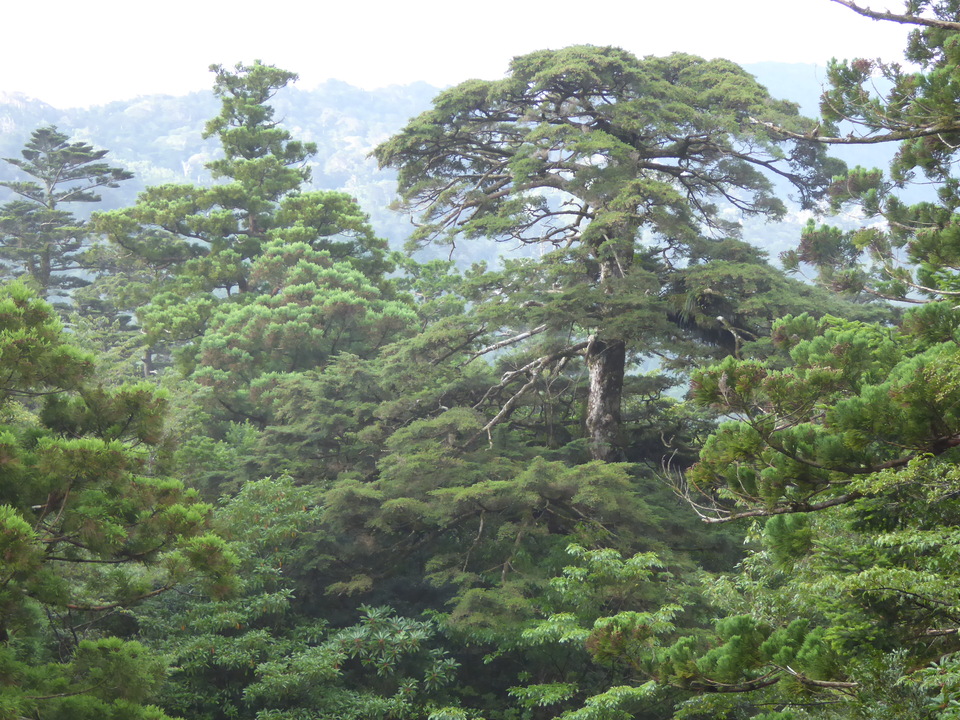 P1030055_mid.jpg