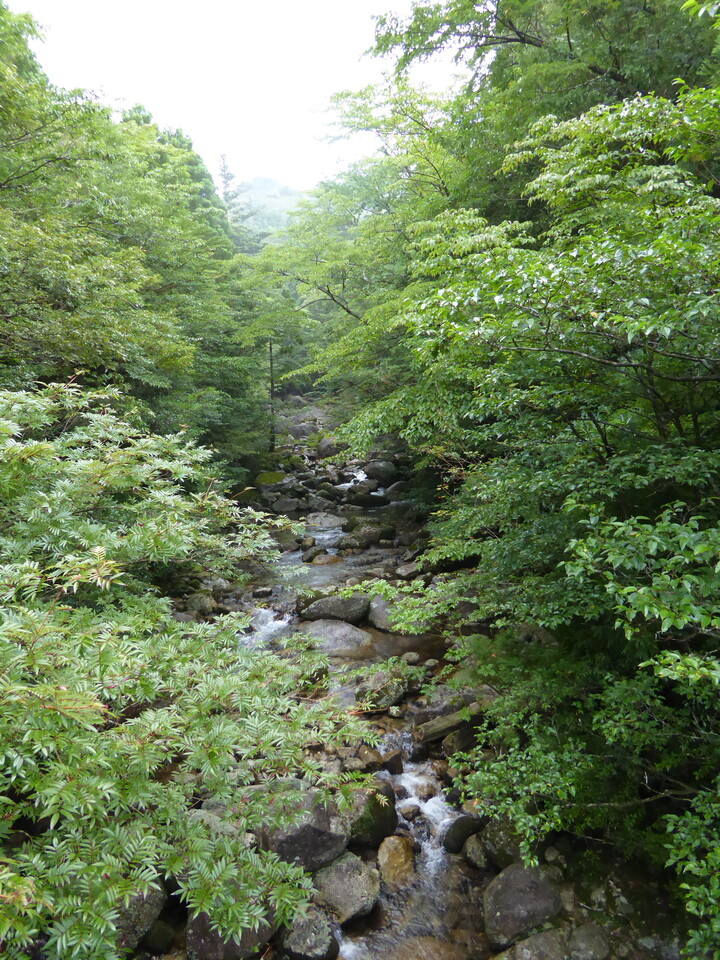 P1030057_mid.jpg