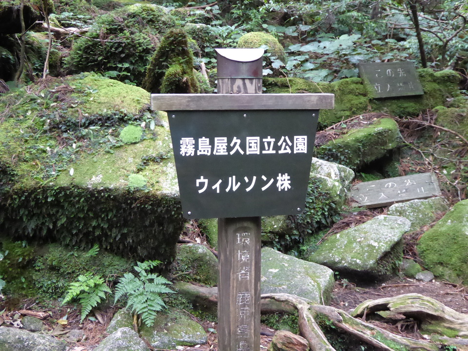 P1030085_mid.jpg