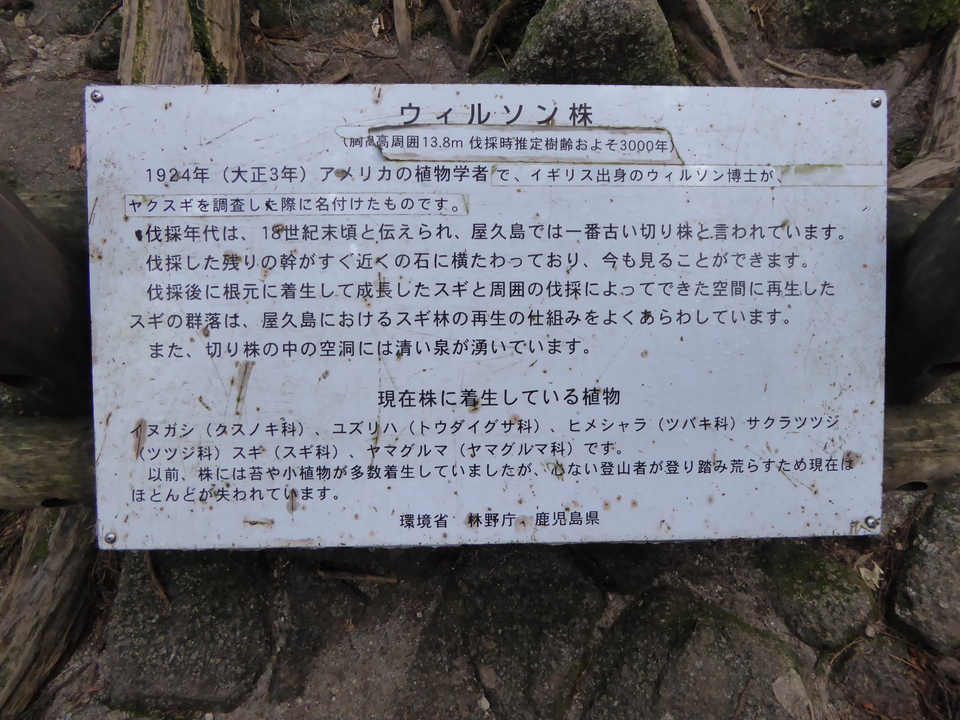 P1030093_mid.jpg