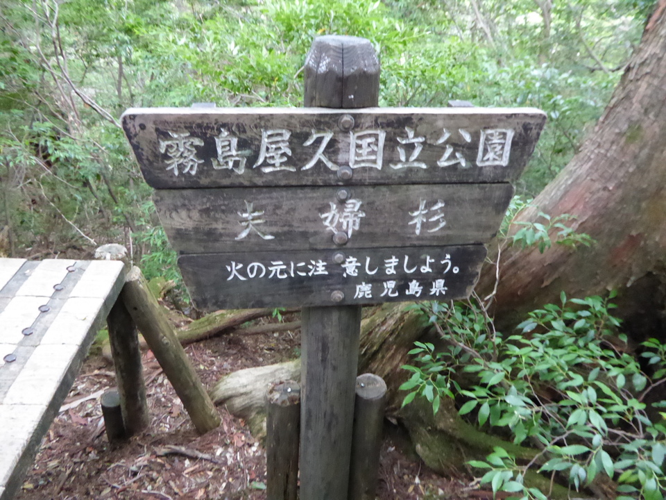 P1030130_mid.jpg