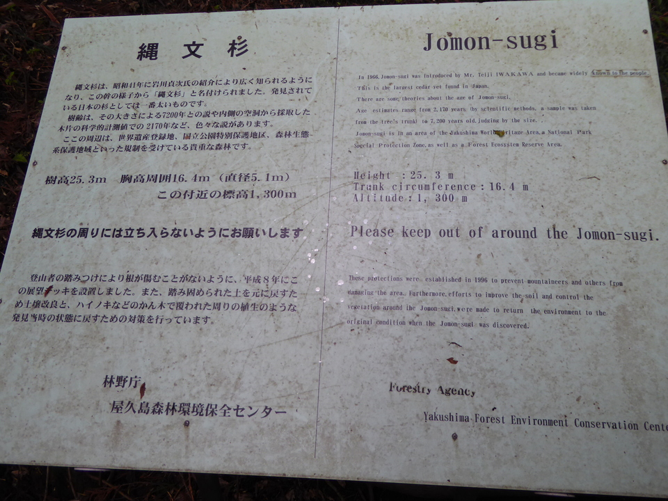 P1030200_mid.jpg