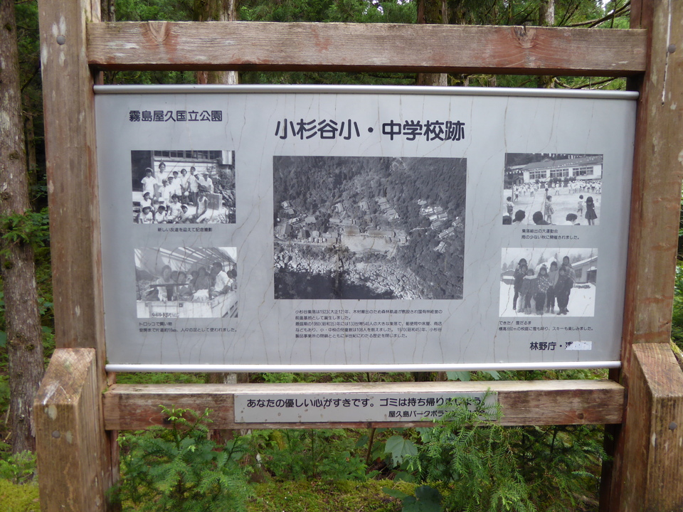 P1030211_mid.jpg