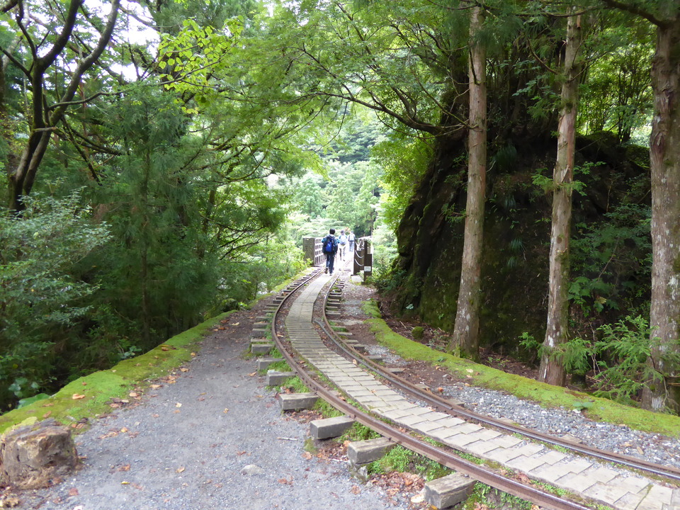 P1030214_mid.jpg