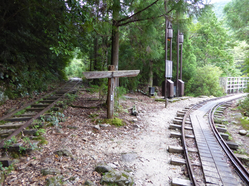 P1030217_mid.jpg