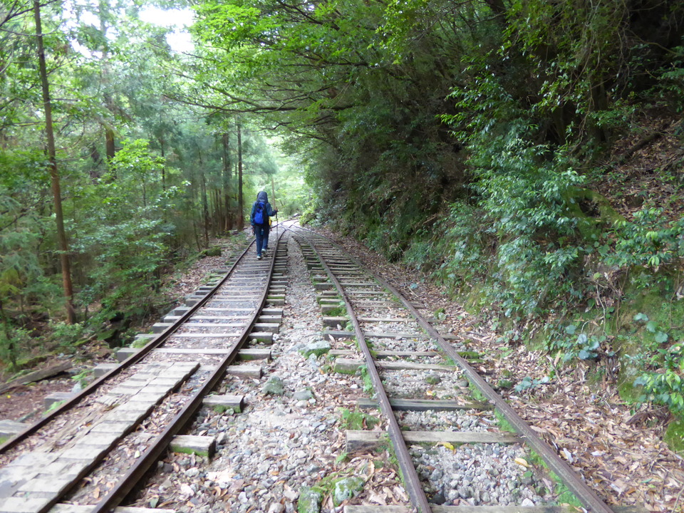 P1030218_mid.jpg