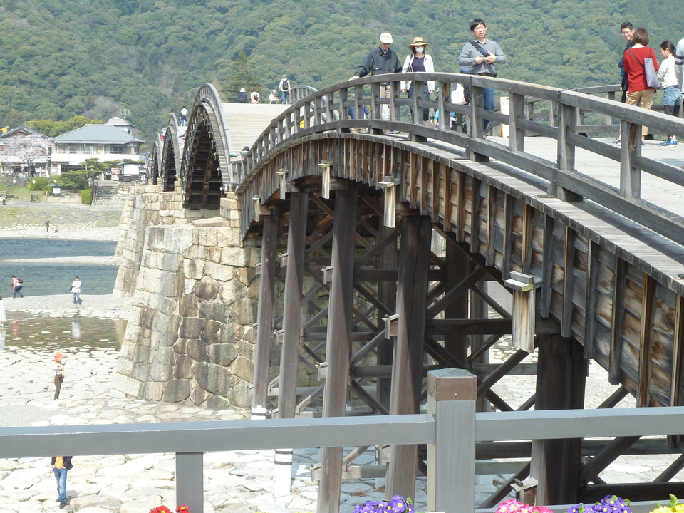 P1150588_mid.jpg