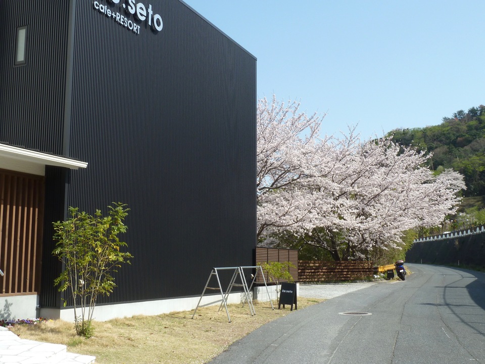 P1150688_mid.jpg