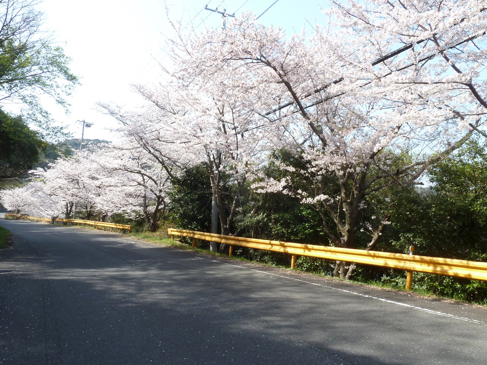 P1150695_mid.jpg
