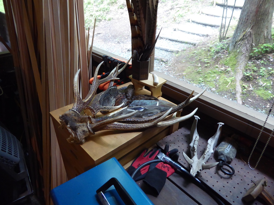 P1040580_mid.jpg