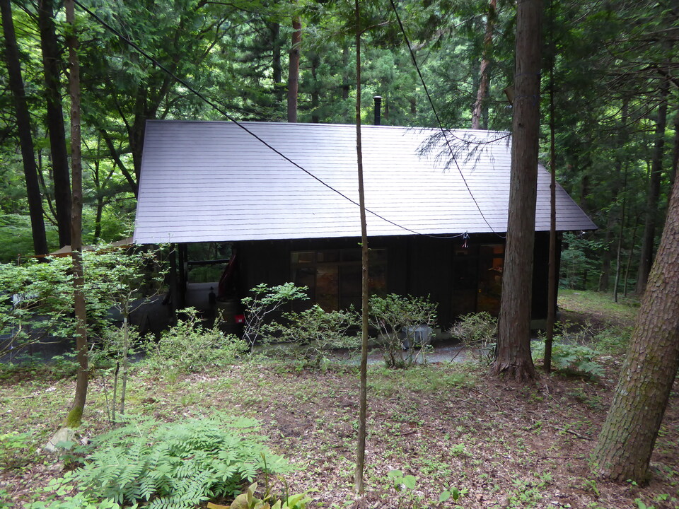 P1040583_mid.jpg