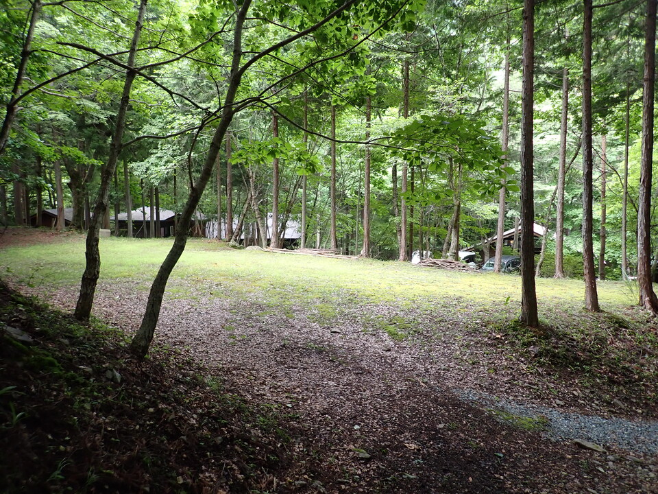 P7108021_mid.jpg