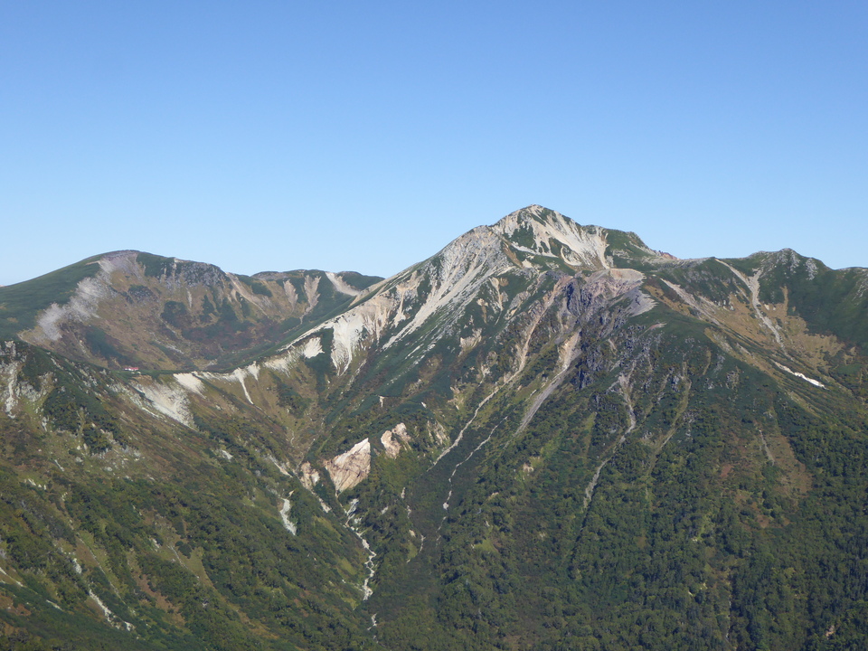 P1050749_mid.jpg