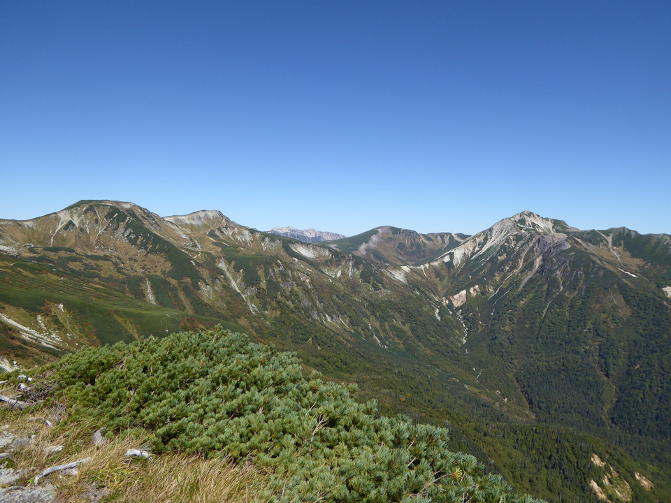 P1050751_mid.jpg