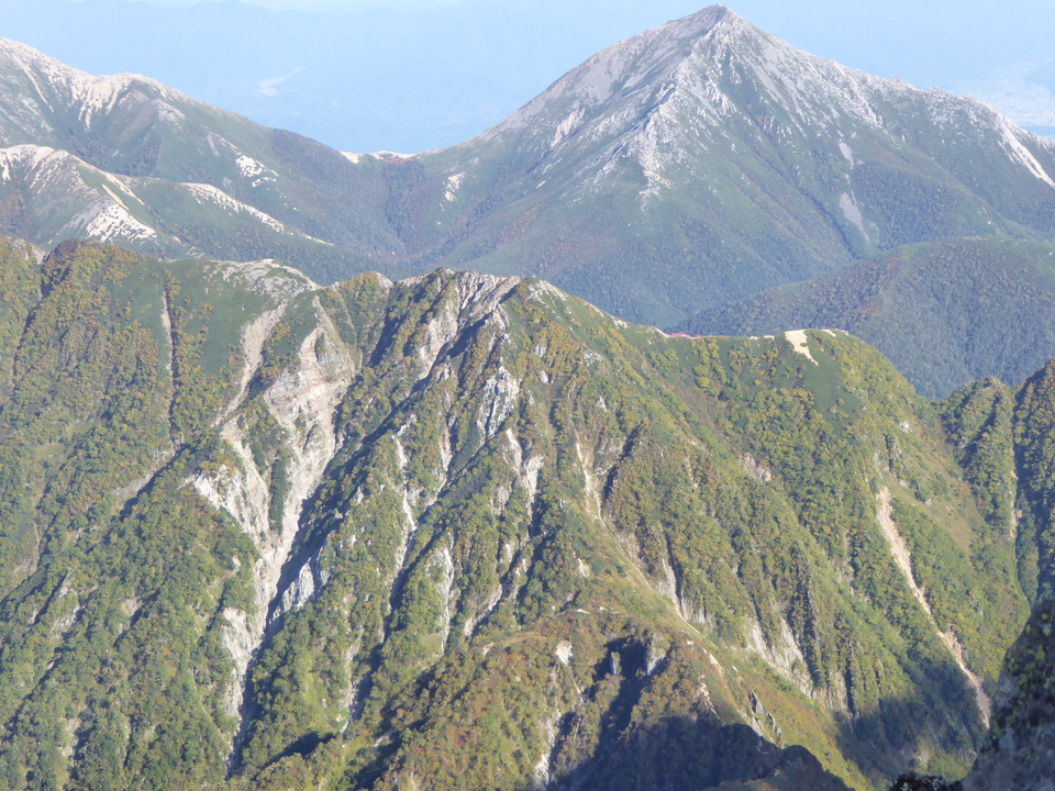P1050812_mid.jpg
