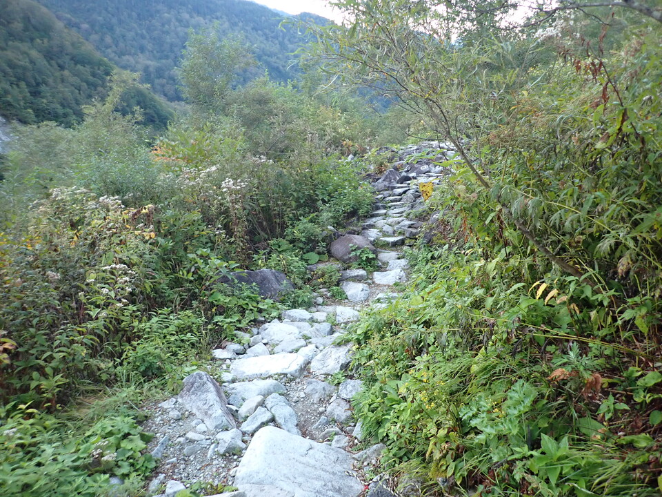 P9300530_mid.jpg