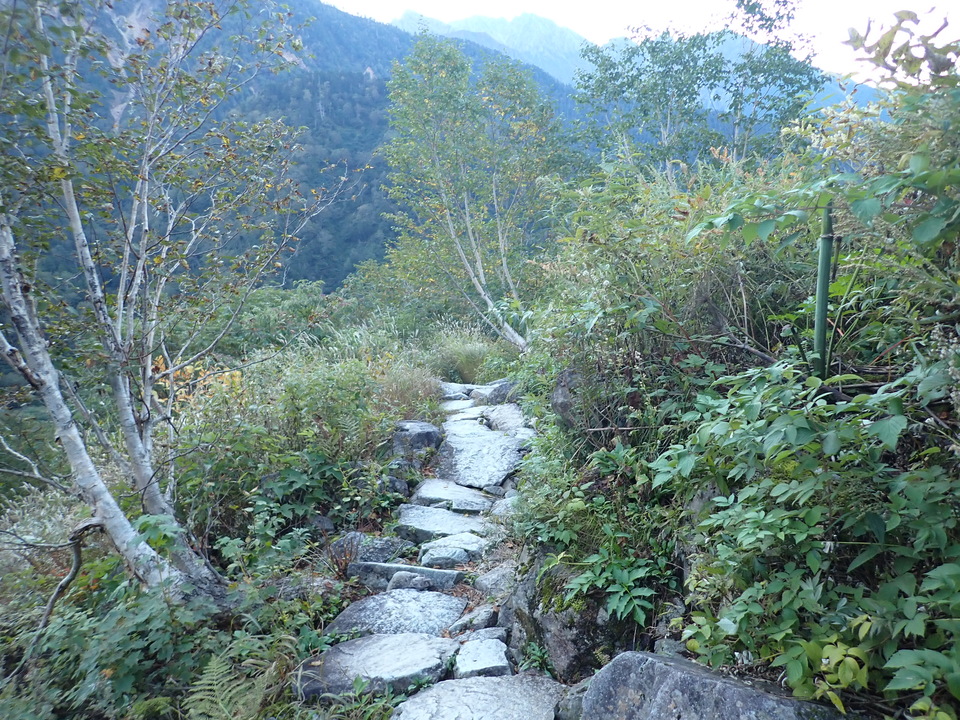 P9300533_mid.jpg