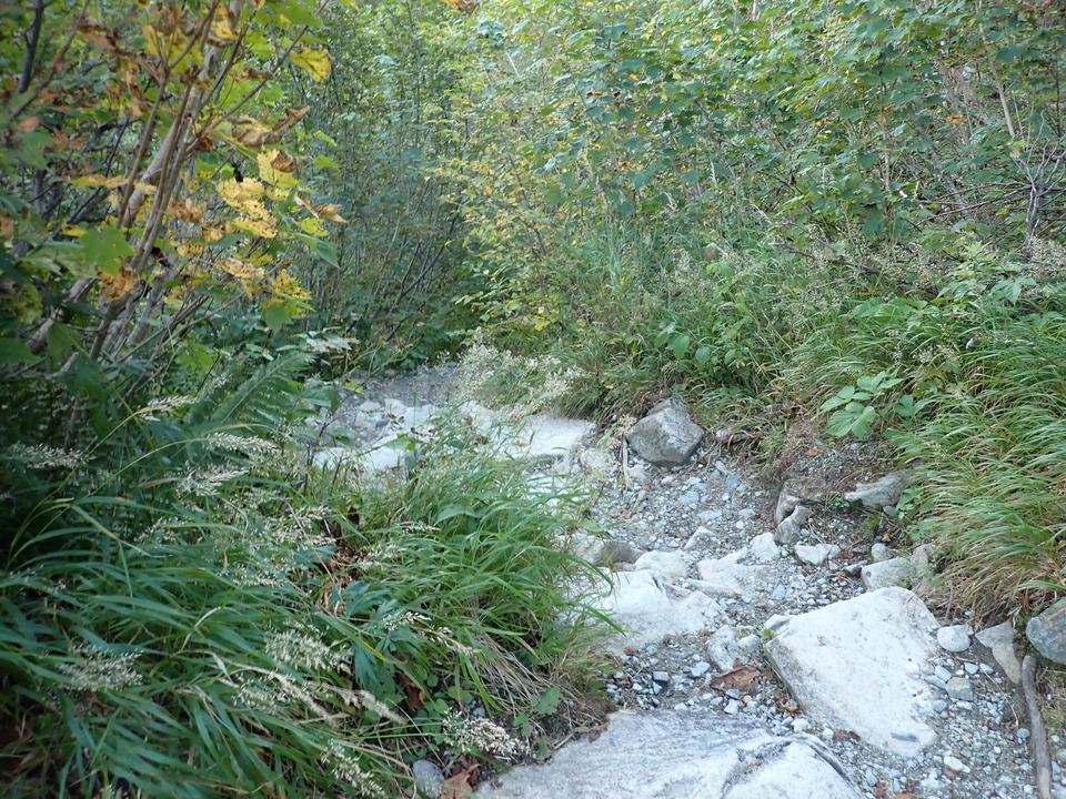 P9300537_mid.jpg