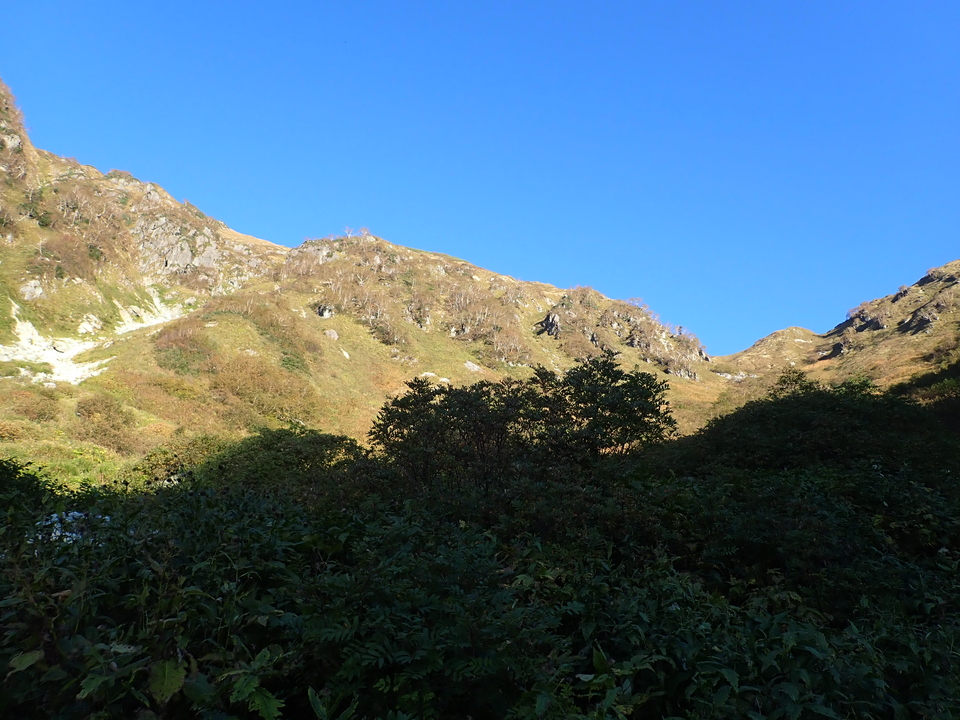 P9300564_mid.jpg