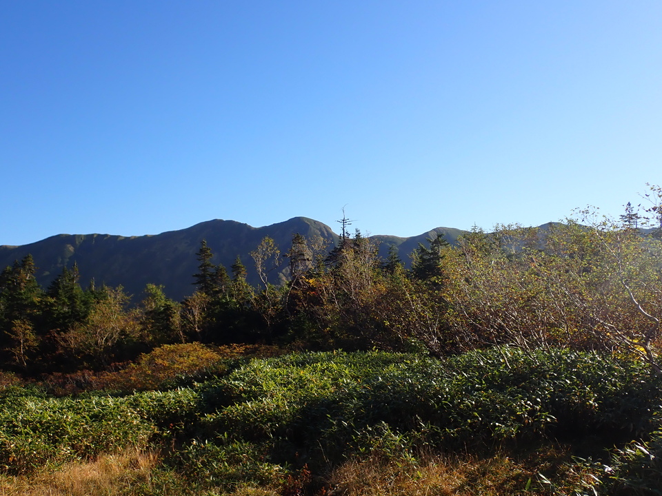 P9300580_mid.jpg