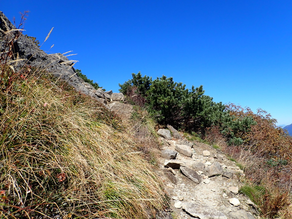 P9300801_mid.jpg