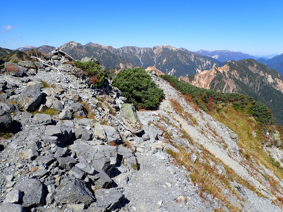 P9300829_mid.jpg