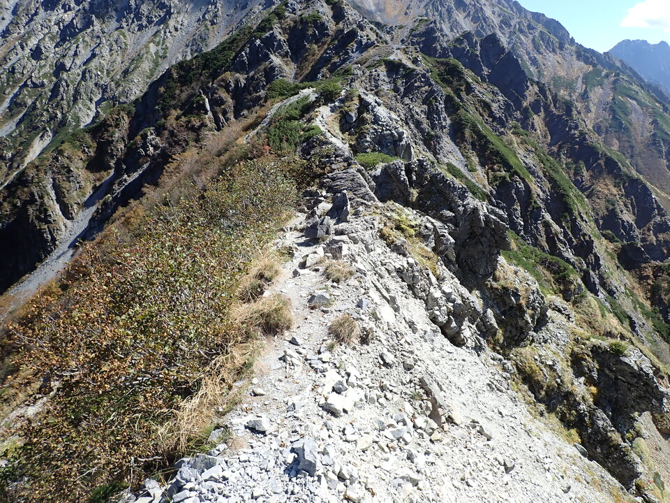 P9300831_mid.jpg